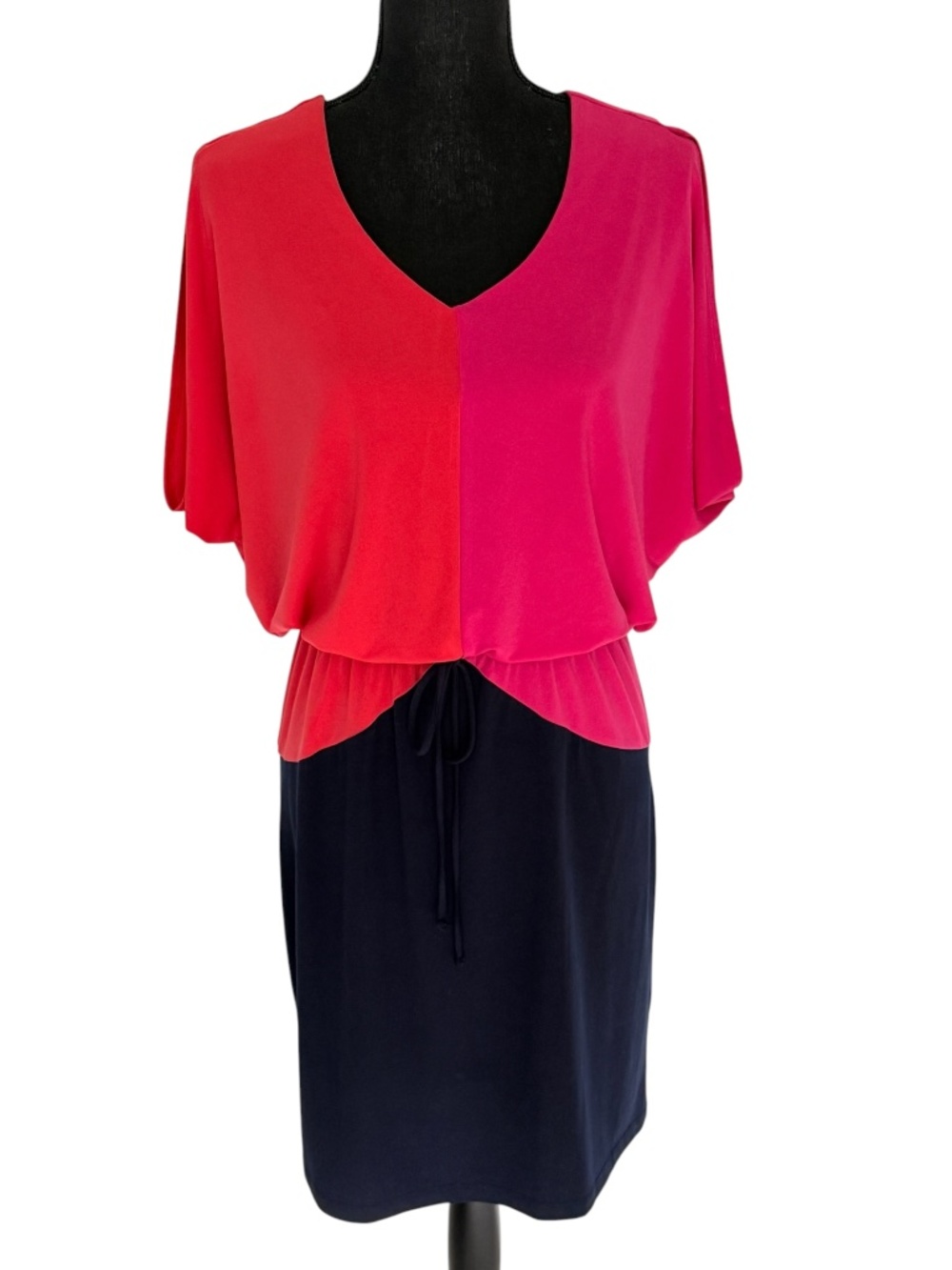 EN FOCUS STUDIO Colorblock Dress, Size 12